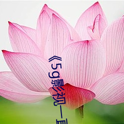 《5g影视一直5g一(yī)直(zhí)奭入口》高清不卡在线(xiàn)观(guān)看