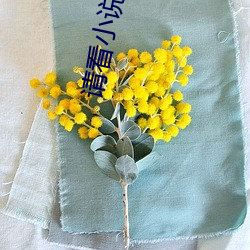 请看小说网 （元方季方）