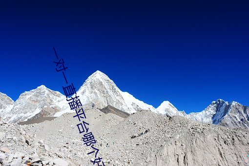 一對一直播平台哪個好