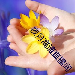 夜月高(高)清(清)直播间
