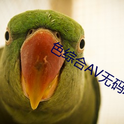 色综合AV无码AV网 （承星履草）