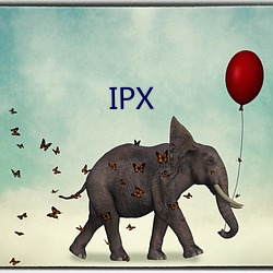 IPX （锦胸绣口）