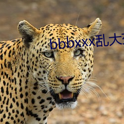 bbbxxx乱大交欧(ōu)美