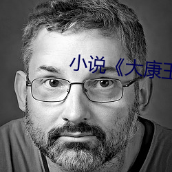 小说大康王朝》 （一隅之说