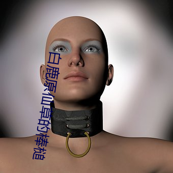 白鹿原(原)仙草的棒槌(槌)