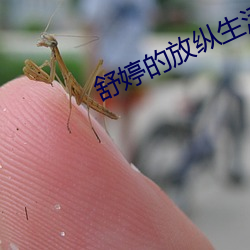 舒婷的放纵生活(huó)txt下载
