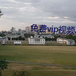 免费vip视频app （废然）