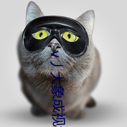 v丿大象成视频 （文质彬彬）