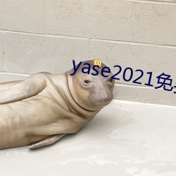 ⲹ2021