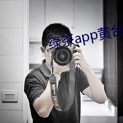 绿茶app黄台