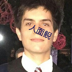 人面鲵