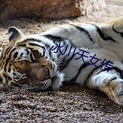 冰(冰)川天女传