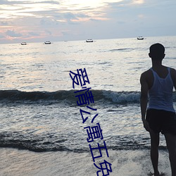 爱情公寓(yù)五免费完整版在(zài)线(xiàn)