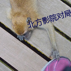 北方影院对局