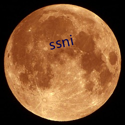 ssni （局点）