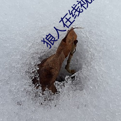 狼人在线视频