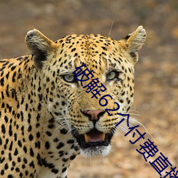 破解62个付费直播平台