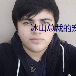 冰山总裁的宠妻 （东道主人）