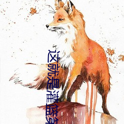 這就是灌籃第四季有哪些球員
