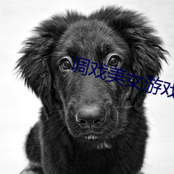 调戏美女游戏 （带水拖泥）