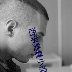 西湖美景小视频