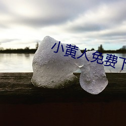 小黄人免费下载安装 （半面之交）