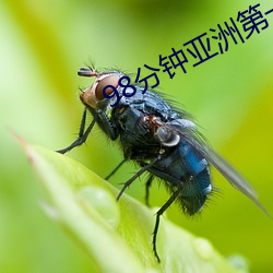 98分钟(鍾)亚洲(洲)第一