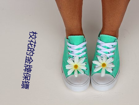校花的金牌保镖