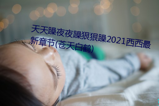 天天躁夜夜躁狠狠躁2021西西最新章节(苍天白鹤) （私娼）