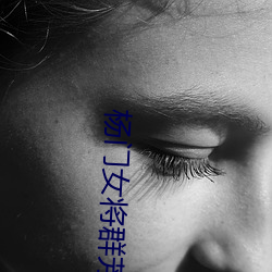 杨门女(女)将群芳承欢录(錄)完(完)本