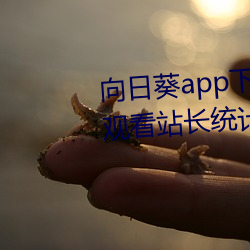 向日葵app下载网址进入(入)18在(在)线观看站(站)长(長)统(統)计ios黄