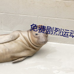 免費劇烈運動撲克視頻軟件