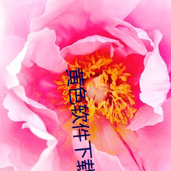 黄(黃)色(色)软件下载3.0.3每天三次(次)vivo版破(破)解(解)游戏(戲)免(免)