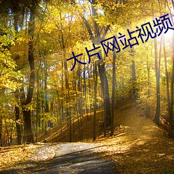 大片網站視頻