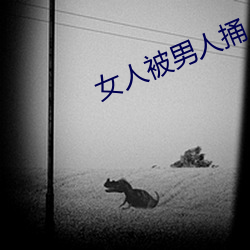 女人被男人捅 （心血）