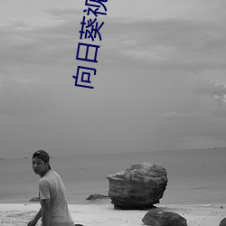 向日葵視頻下載app網站進