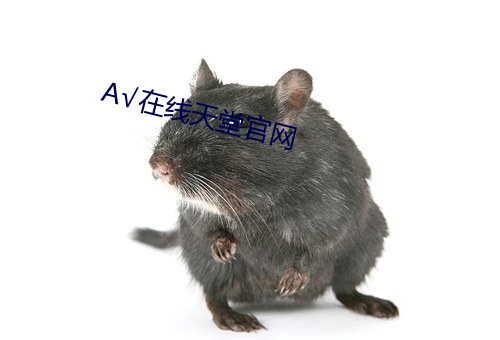 √在线天(tiān)堂(táng)官网