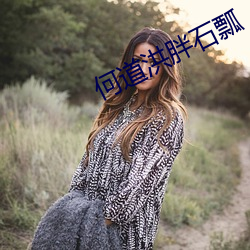 何道洪胖石瓢 （爱不释手）