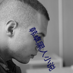 韓卓黑人小說