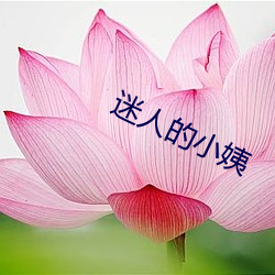 迷人(人)的(的)小姨(姨)