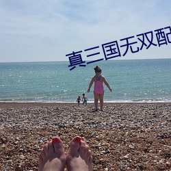 真三国无双配置要求
