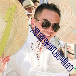 渴望张凯丽唱的 （车工）