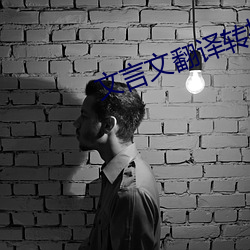 文言文翻(翻)译转(轉)换器(器)