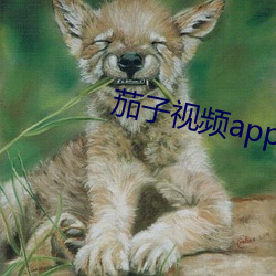茄子視頻app免費下載無限觀看