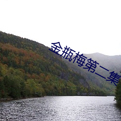金瓶(瓶)梅第二(二)集(集)
