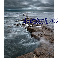 非誠勿擾2023年最新一期