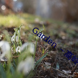 Garden ～高岭家の二轮花