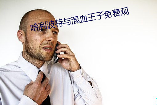 哈利波特与混血王子免费观