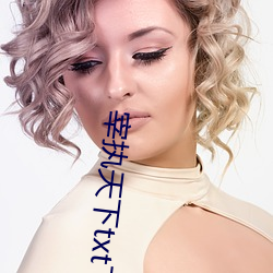 宰执天下txt下载