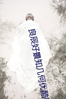 良辰好景(景)知几何(何)优酷网(網)免费